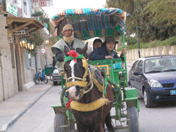 �J���[�V���ɗh���A�`���j�W�A�C���B